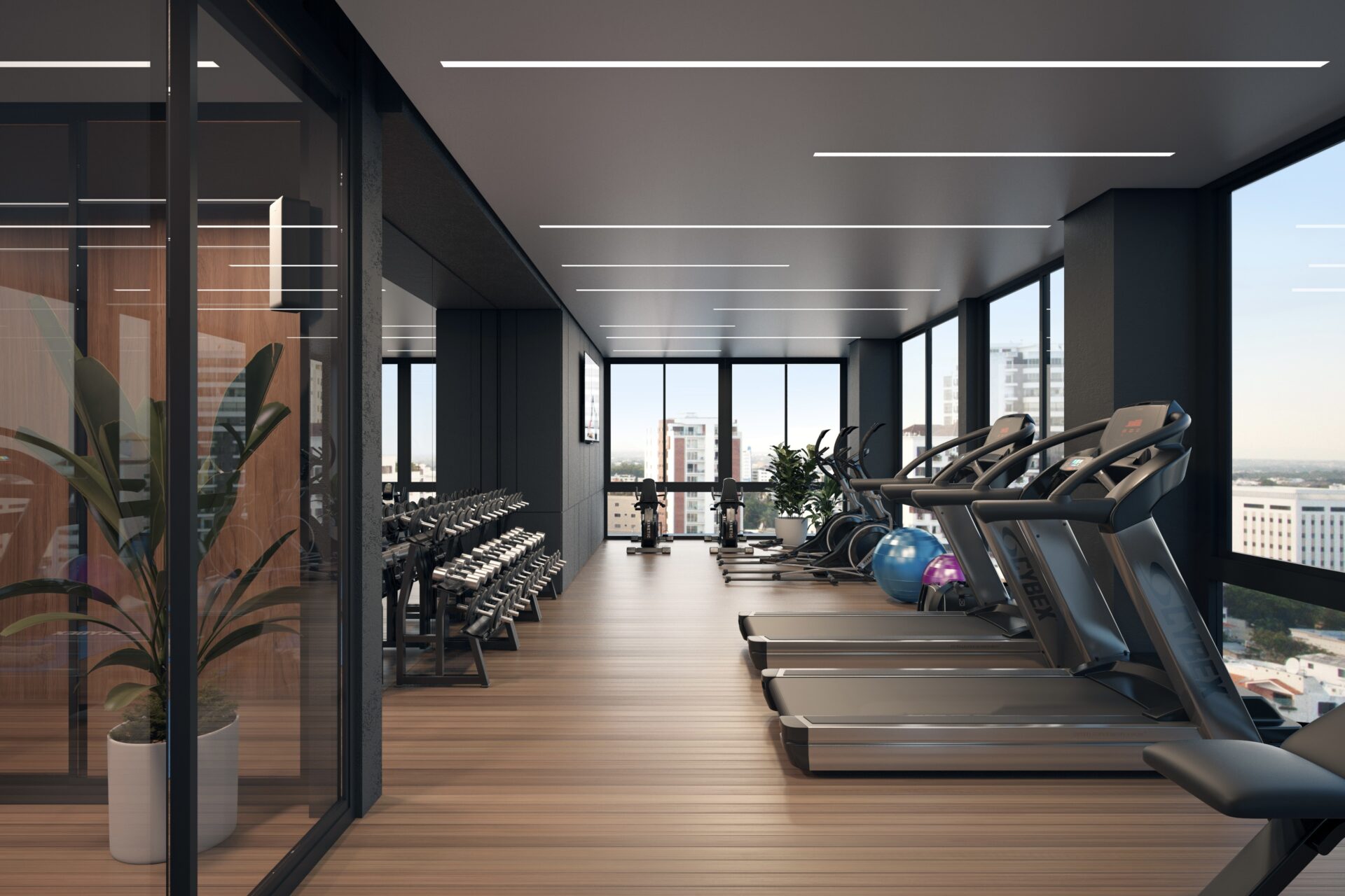 gimnasio